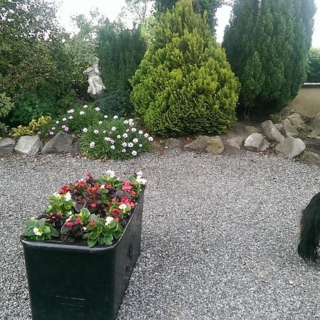 The Ring Farmhouse Birr Bagian luar foto