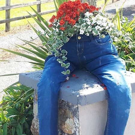 The Ring Farmhouse Birr Bagian luar foto