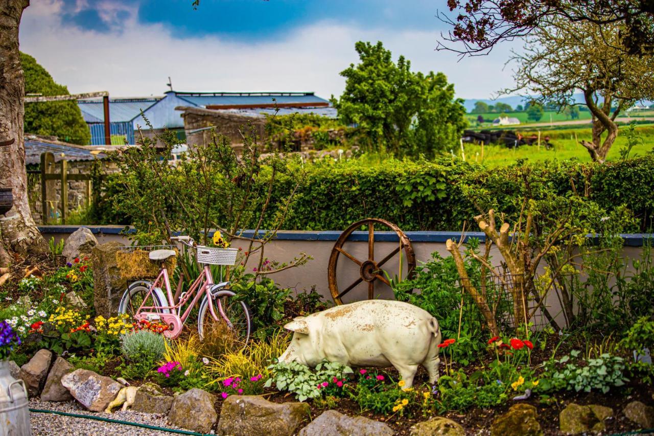 The Ring Farmhouse Birr Bagian luar foto