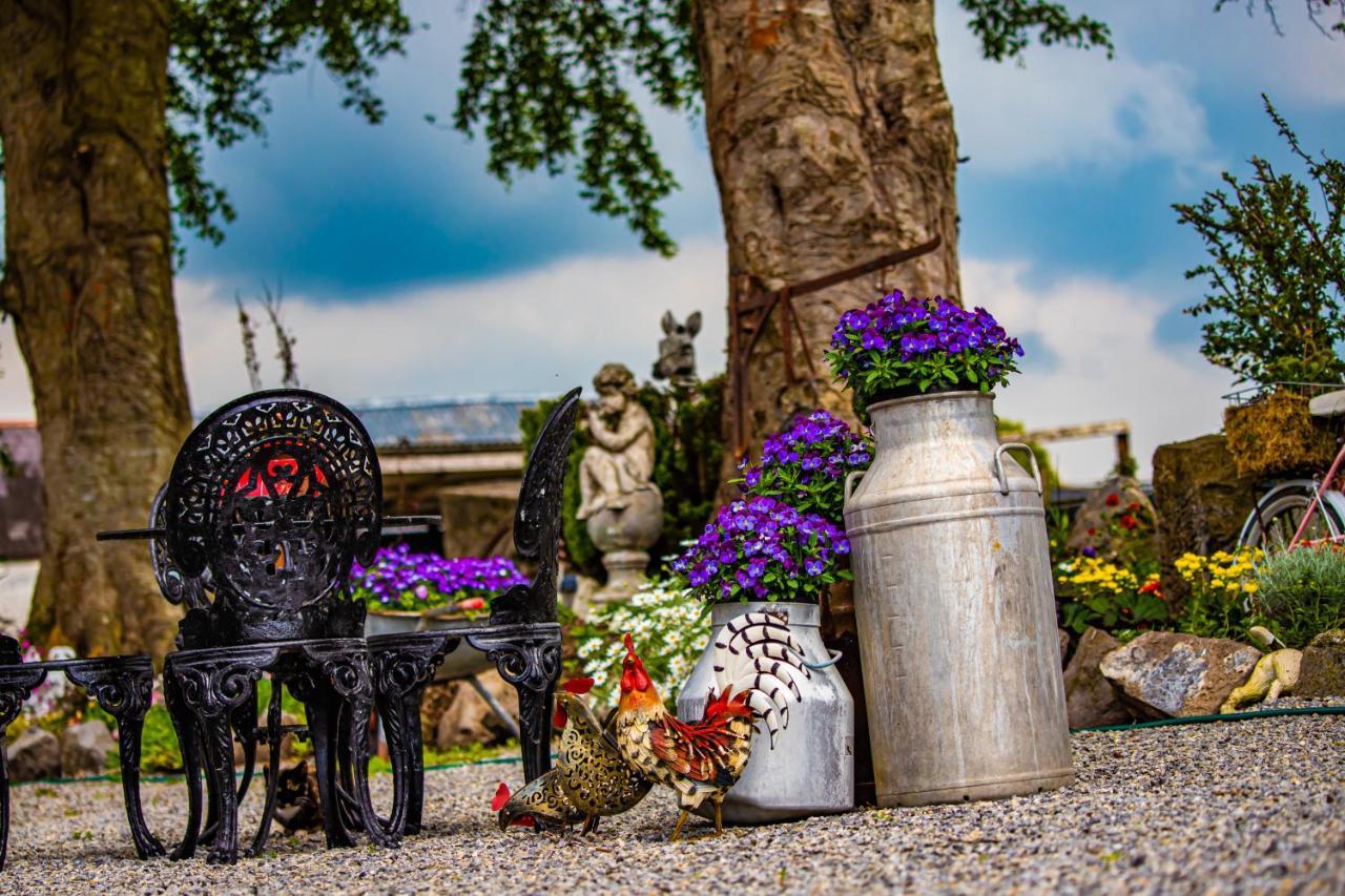 The Ring Farmhouse Birr Bagian luar foto