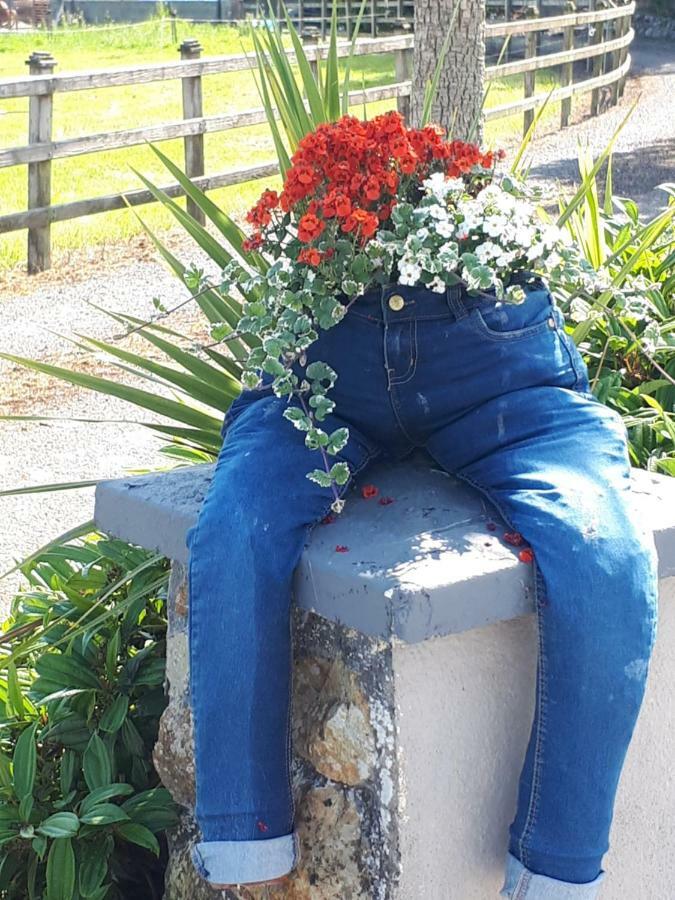 The Ring Farmhouse Birr Bagian luar foto